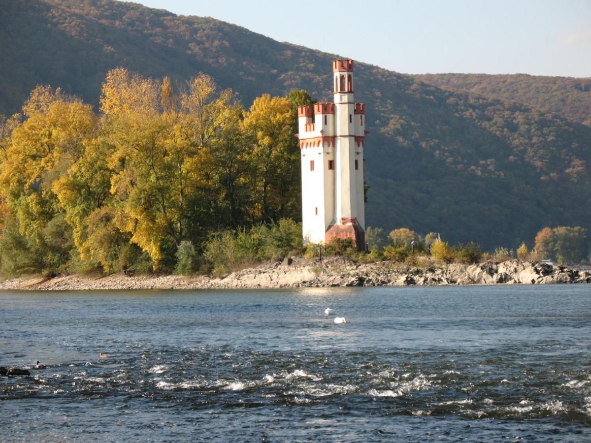 Helle Fewo, 60 Qm, Souterrain, Eigener Eingang, Rhein Und Nahe บิงเงนอัมไรน์ ภายนอก รูปภาพ